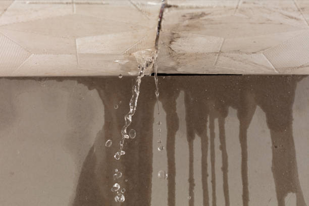 Professional Water Damage Repair technician working in Parker, KS